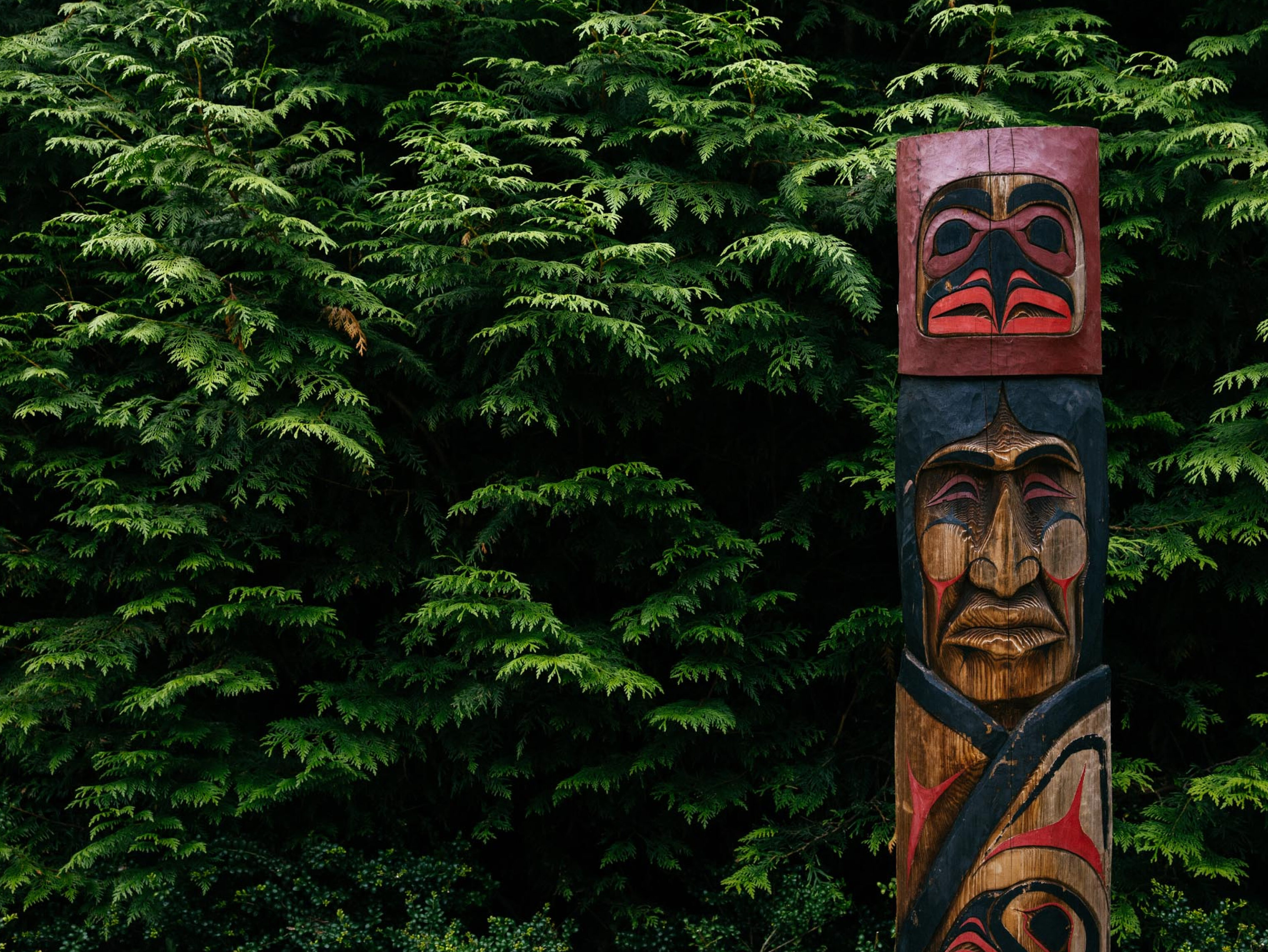 Totem in cedar forest